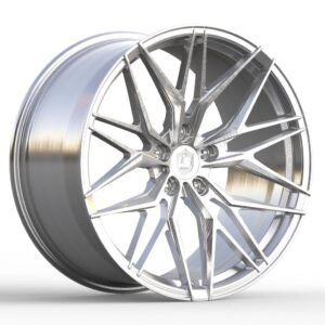 LSW 8.1